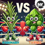 Rosemary VS Thyme